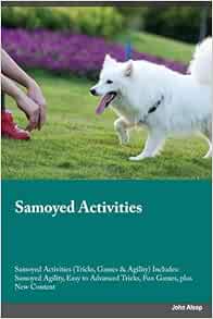 samoyed agility