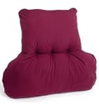 cosy back support cushion