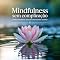 Livro Mindfulness Sem Complicação