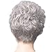 Short Gray Wigs for White Women Pixie Curly Womens Wig Synthetic Heat Resistant Hair Wigs Natural Looking for Daily Party P054