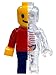 4D Master Brick Man Funny Anatomy by Jason Freeny