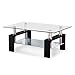 SUNCOO Coffee Table Glass Top with Shelves Home Furniture Clear Rectangle (Black)