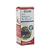 Interpet-Anti-Fungus-and-Finrot-Aquarium-Fish-Treatment-100-ml Interpet Anti Fungus and Finrot Aquarium Fish Treatment, 100 ml