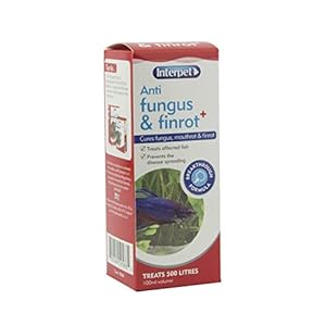 Interpet-Anti-Fungus-and-Finrot-Aquarium-Fish-Treatment-100-ml Interpet Anti Fungus and Finrot Aquarium Fish Treatment, 100 ml