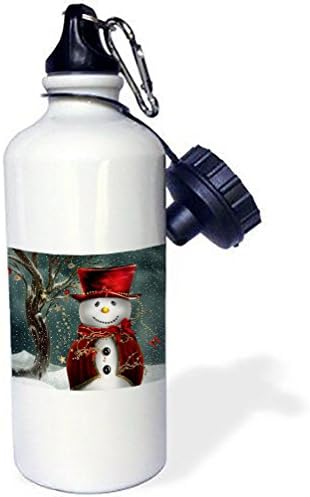 DCKLOIK Snowman Dress Red Clothes Aluminum Sports Water Bottle Gift 20 Ounce