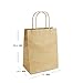  Brown Kraft paper recycling bags 95% POST CONSUMER MATERIALS & FSC CERTIFIED (small, 25 pcs)