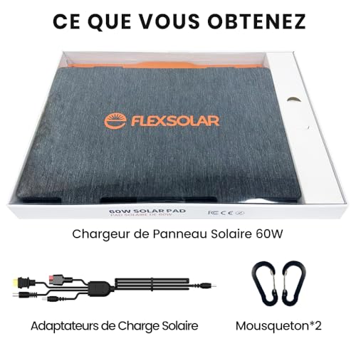 Solar Panel 60 W, FlexSolar Portable Foldable Solar Charger IP67 Waterproof Emergency Camping Power Supply for Small Electric Generator, Phone, Mobile Power Supply, PC