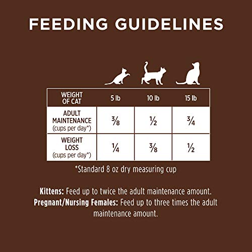 INSTINCT ORIGINAL DRY CAT FOOD, RAW COATED KIBBLE, HIGH PROTEIN, GRAIN FREE RECIPE – REAL CHICKEN, 11 LB. BAG