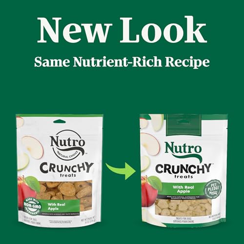 NUTRO CRUNCHY DOG TREATS WITH REAL APPLE, 16 OZ. BAG