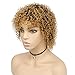 Goldfinch Blonde Ombre Short Kinky Curly Wig Human Hair Afro Curly Wig Black to Blonde Short Curly Human Hair Wig for Black Women Remy Virgin Hair Wig 5 inches