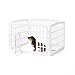 Amazon Basics 4-Panel Plastic Pet Pen, 24in, White