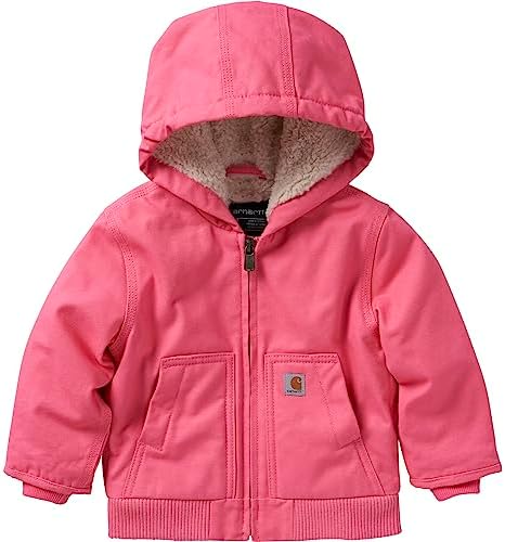 Amazon.com: Carhartt Kid's CP5500 Montana Insulated Hooded Jacket