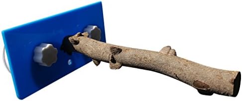 Qin ChenChen Bird Portable Natural Wood chewing toys Shower Standing Perch with Suction