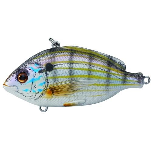 Livetarget Pinfish Rattlebait