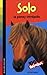 Mes animaux préférés : Solo : Le poney intrépide by 