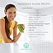 Organic Moringa Oleifera Leaf Powder : USDA Certified and 100% Raw from India, 1.1 lbs (500 g)