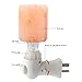 ANTEQI Natural Household Salt Lamp Himalayan Amber Glow Night Light [ Air Purifier, UL Wall Plug, 10.58 OZ ] Night Lamp for Home Office Bedroom Gift (Round Mini Lamp)