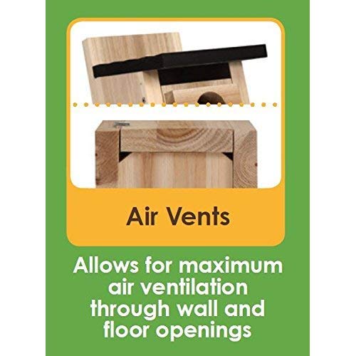 Wild Wings Cedar Blue Bird Box - Image 6