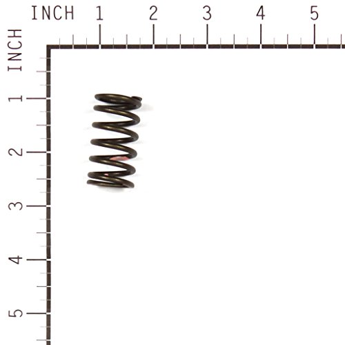 Briggs and Stratton 845589 Valve Spring
