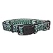 Pet Goods NCAA Michigan State Spartans Dog Collar, Large