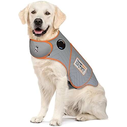 dog calming vest