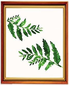 Diamond Painting by Number 5D DIY Diamond Painting Cross Stitch Craft Kit Diamond Pictures of Crystals Embroidery Crystal Embroidery Rhinestone Paintings Pictures Arts for Living Room Fern Watercolor