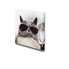 Funny Gray British Cat in Sunglasses Wall Decor