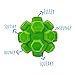 Sprong Dog Chew and Squeak Toys - Large Hex Ball - Assorted Colors