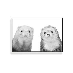 NWT Framed Canvas Wall Art for Living Room,...