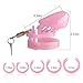 Pink Plasitc Cock Cage Chastity Cage Chastity Device for Male Penis Exercise with 5 Rings