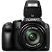 Panasonic Lumix FZ80 4K Digital Camera with 20-1200mm Lens 60x Optical Zoom Power O.I.S. Stabilization DC-FZ80 Bundle with Deco Gear Camera Bag Case + Filter Kit + Photo Video Software & Accessoriesthumb 4