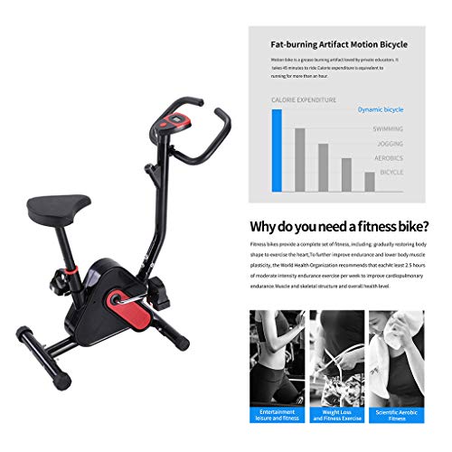 cardio bikes for home