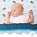 Luxurious Elephant Baby Crib Bedding Sets for Boys by Cocoon - Let Your Little One Sleep Like an Angel - Organic Cotton 3-Piece Nursery Set Including Fitted Sheet, Comforter & Crib Skirt (Set of 3)