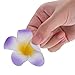 Mudder 24 Pieces Hawaiian Plumeria Flower Hair Foam Hawaii Hair Clips (2.4 Inch)