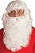 Rubie's Men Deluxe Santa Beard and Set Costume Wig, White, One Size US