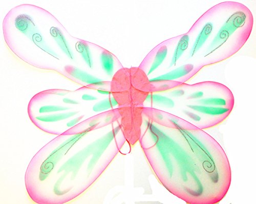 Giant Pink Butterfly Adult Wing
