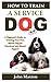 How to Train A Service Dog: A Beginner's Guide on Training Your Own Service Dog for Emotional and Mental Support