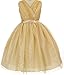 Little Girls Glitter V Neck Rhinestone Pin Special Flowers Girls Dresses
