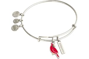 Alex and Ani Strength' Cardinal Duo Charm Bangle Bracelet