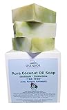 Tea Tree Coconut Oil Soap Bars with ORGANIC SPIRULINA. Handmade, Vegan, Natural and Moisturizing. Anti-fungal, Anti-bacterial, Acne, Eczema, Jock Itch, Itch and Body Odor for Hand, Body and Face