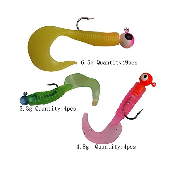 Shaddock-Fishing-New-Stylish-Top-Selling-17pcslot-Fishing-Lures-Kits-Jig-Head-Hooks-Soft-Bait-Suit-Worm-Tail-Shape-Set-33g48g65g