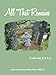 All That Remains by Catherine J.S. Lee