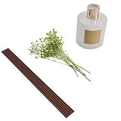 Cocorrína Premium Reed Diffuser Set with Preserved