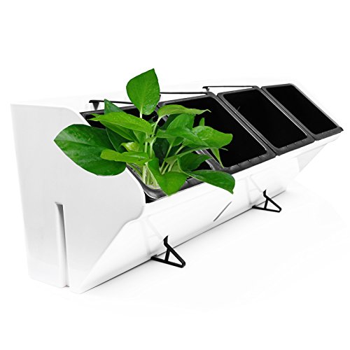 KORAM 20-inch Vertical Garden Wall Planter 1 Row 4 Pots Living Wall Hanging Flower Box Wall Mount Plant Pot fo