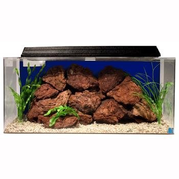 SeaClear 40 gal System II Acrylic Aquarium, 36 by 15 by 16″, Cobalt Blue