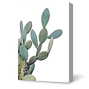 SIGNFORD Canvas Wall Art Plant Succulents Plant Office...
