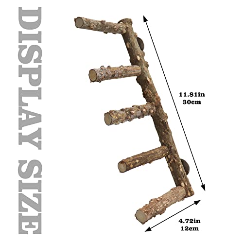 2 Pack Bird Ladder, Bird Perch Stand, Natural Prickly Ash Wood Bird