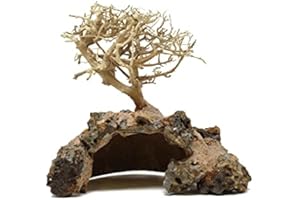 QIABBI Bonsai Driftwood Aquarium Tree Dry Coconut GD Random Pick (8in H x 10in L) Natural, Handcrafted Fish Tank Decoration | Helps Balance Water pH Levels, Stabilizes Environments | Easy to Install
