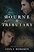 Bourne & Tributary (River of Time) by Lisa T. Bergren