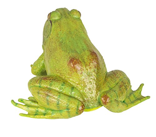 Safari Ltd  Incredible Creatures American Bullfrog